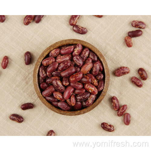 Kidney Beans Weight Loss